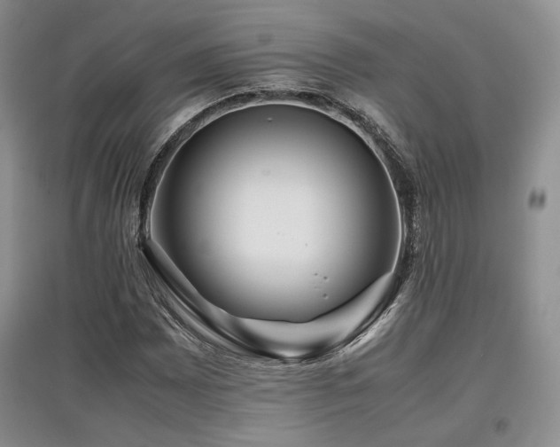 X0000097841065200803141203