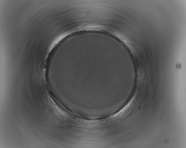X0000097841066200803141203