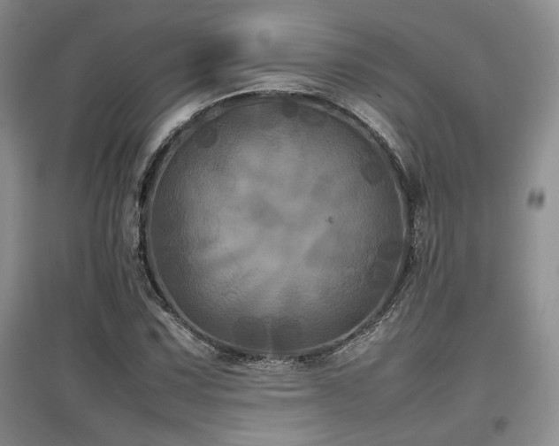 X0000097841067200803141203