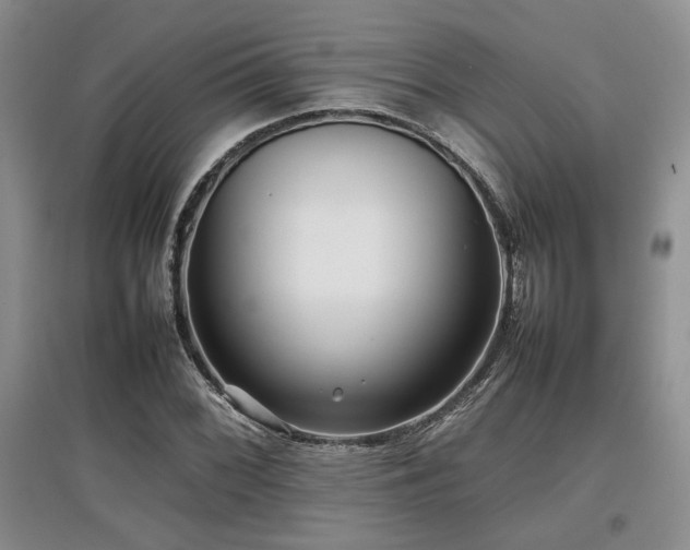 X0000097841068200803141203