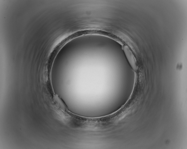 X0000097841069200803141203