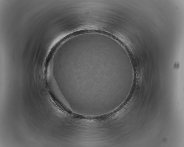 X0000097841070200803141203
