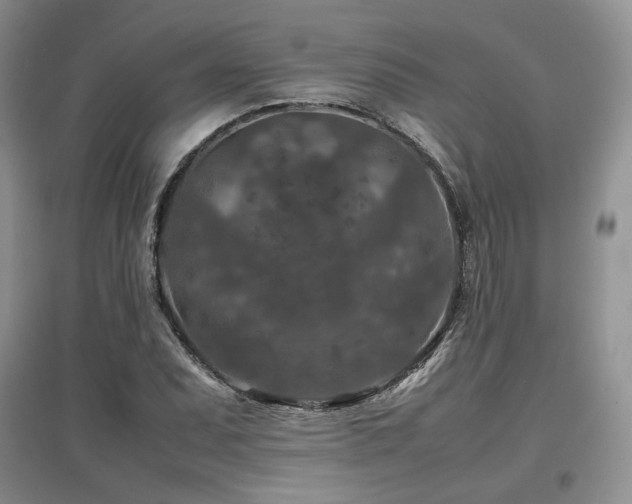 X0000097841071200803141203