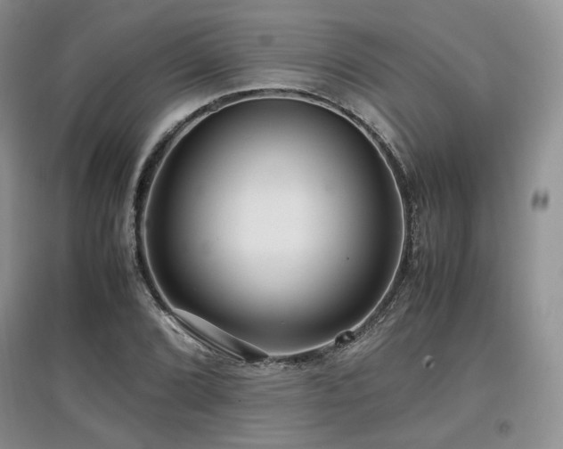 X0000097841072200803141203