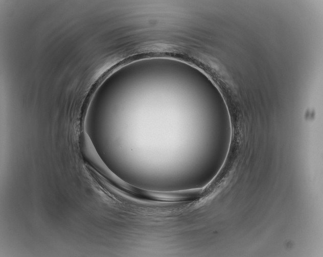 X0000097841073200803141203