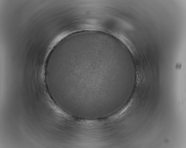 X0000097841074200803141203