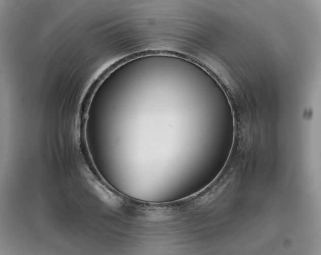 X0000097841076200803141203