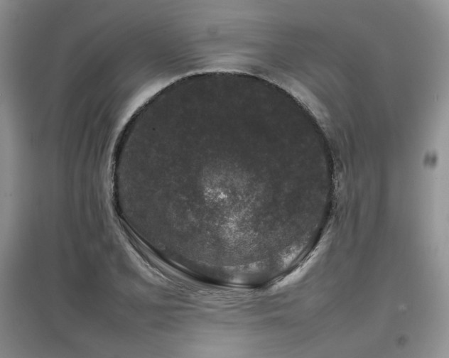 X0000097841077200803141203