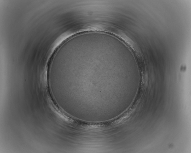 X0000097841078200803141203