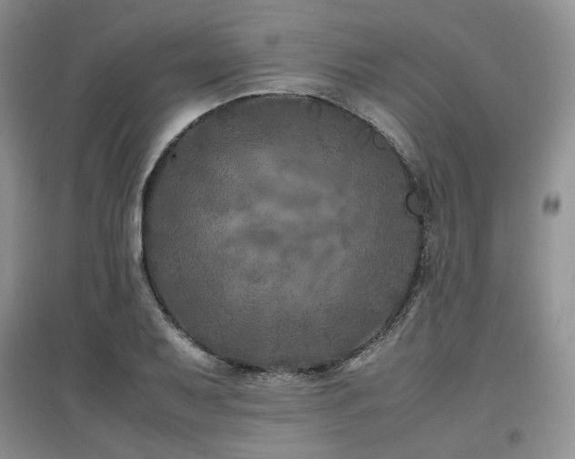 X0000097841079200803141203