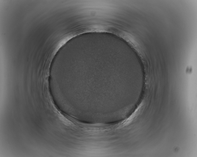 X0000097841081200803141203
