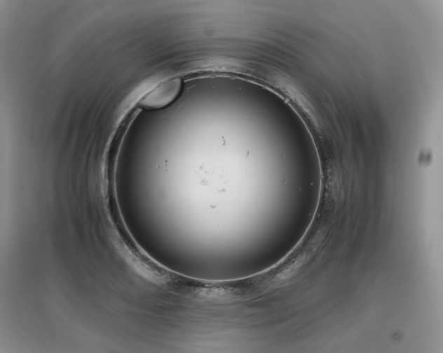 X0000097841082200803141203