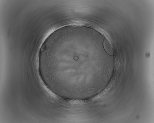 X0000097841083200803141203