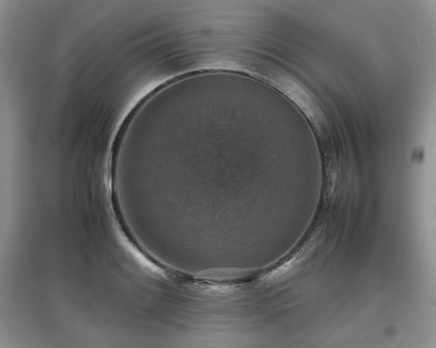 X0000097841084200803141203