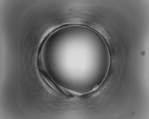 X0000097841085200803141203