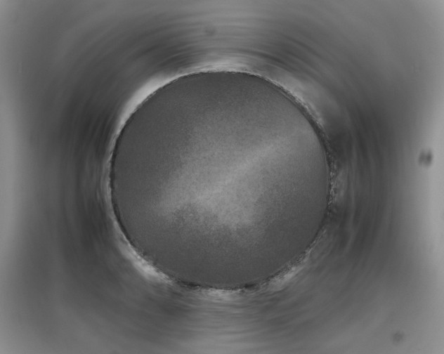 X0000097841086200803141203
