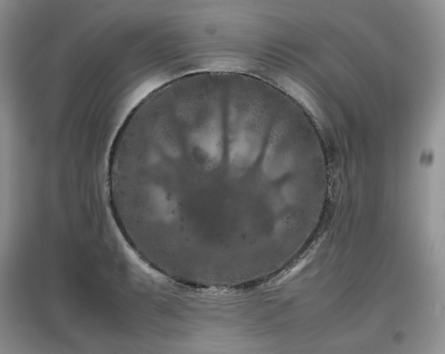 X0000097841087200803141203