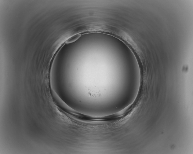 X0000097841089200803141202