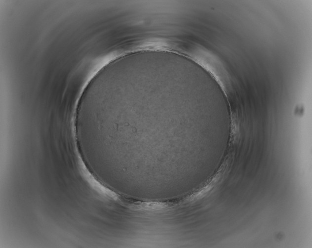 X0000097841090200803141202