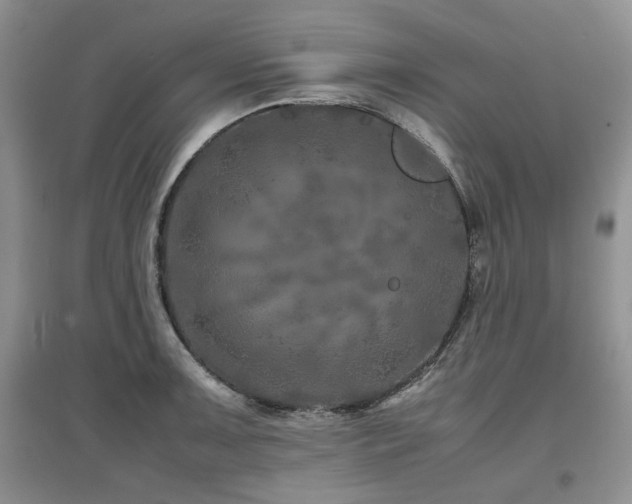 X0000097841091200803141202