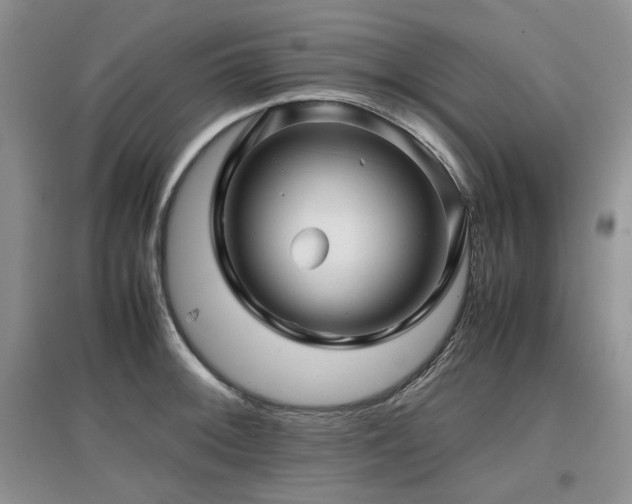 X0000097841092200803141202