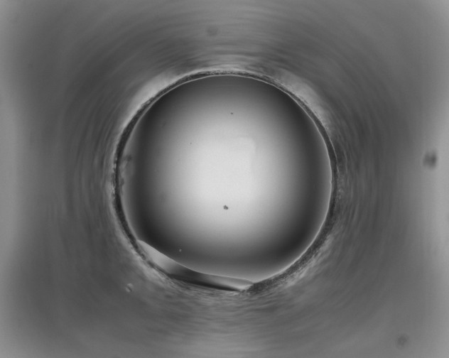 X0000097841093200803141202