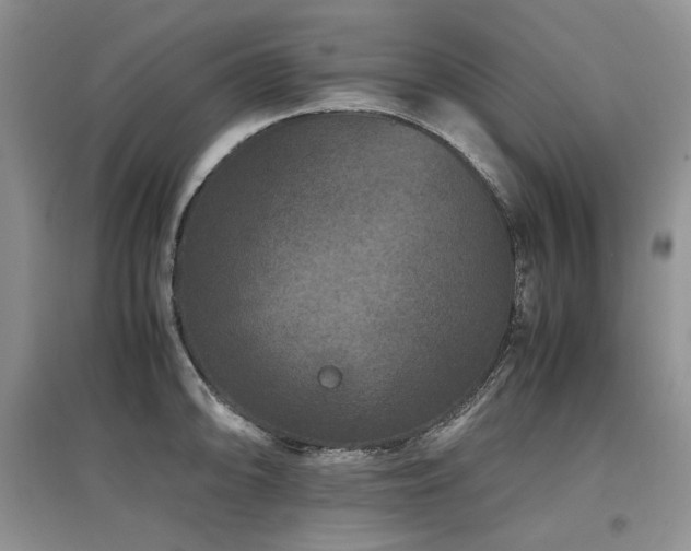 X0000097841094200803141202