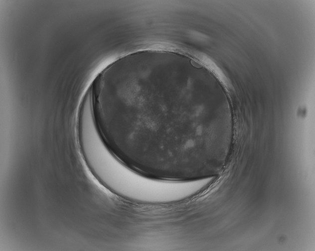 X0000097841095200803141202