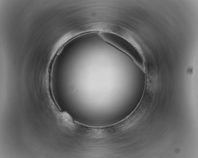 X0000097841096200803141202