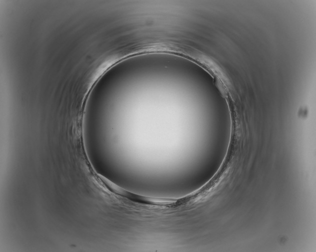 X0000097841097200803141202
