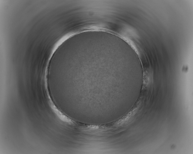 X0000097841098200803141202