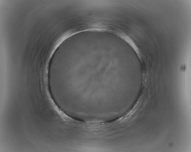 X0000097841099200803141202