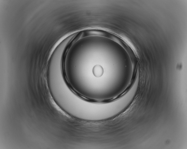 X0000097841100200803141202