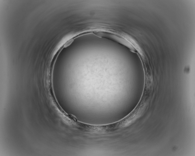 X0000097841101200803141202
