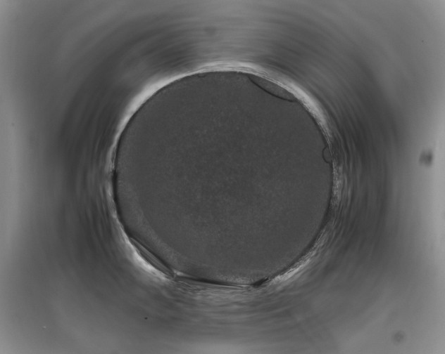 X0000097841102200803141202