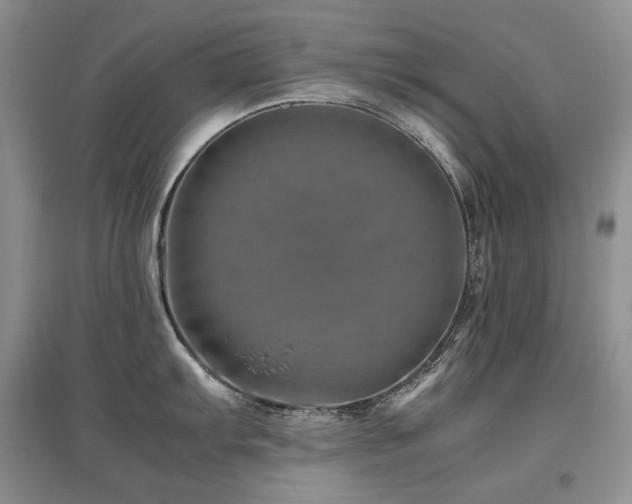 X0000097841103200803141202