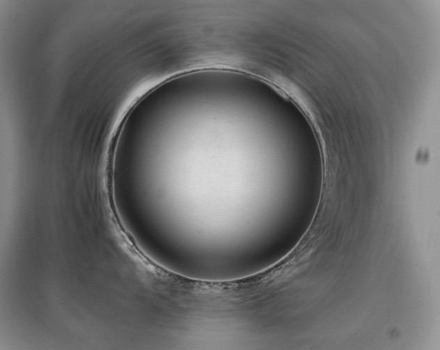 X0000097841104200803141202