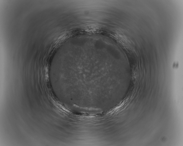 X0000097841106200803141201