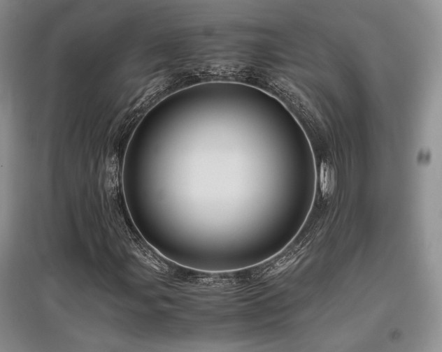 X0000097841107200803141201