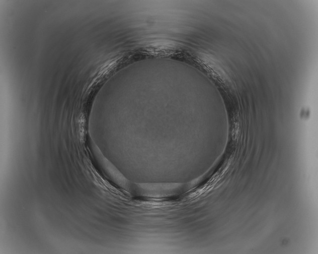 X0000097841108200803141201