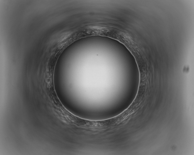 X0000097841109200803141201