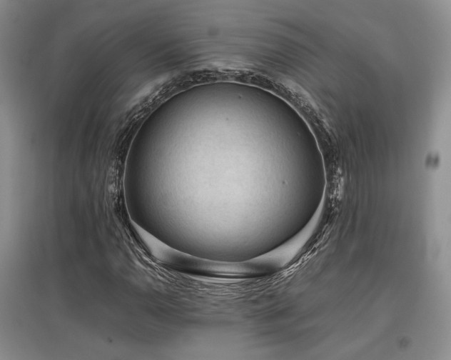 X0000097841110200803141202