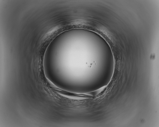 X0000097841111200803141202