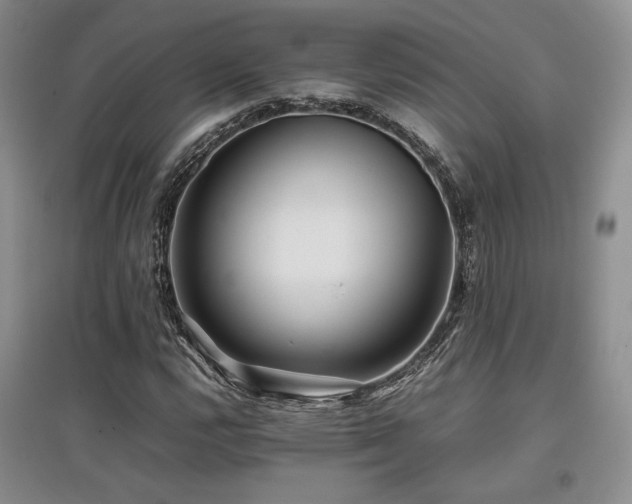 X0000097841112200803141202