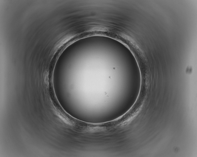 X0000097841113200803141202