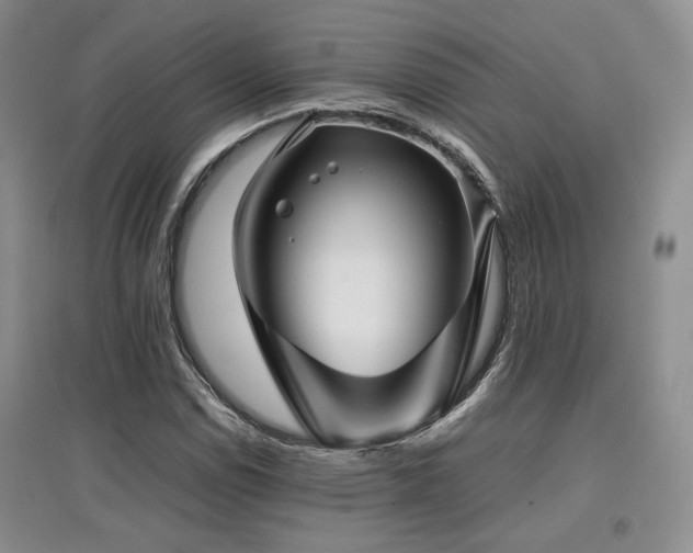 X0000097841114200803141202