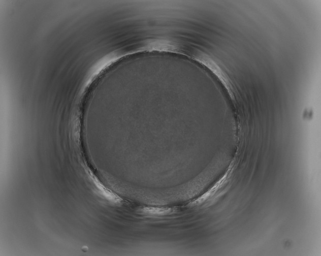 X0000097841115200803141202