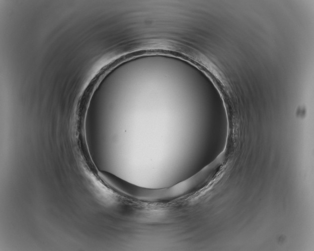 X0000097841116200803141202