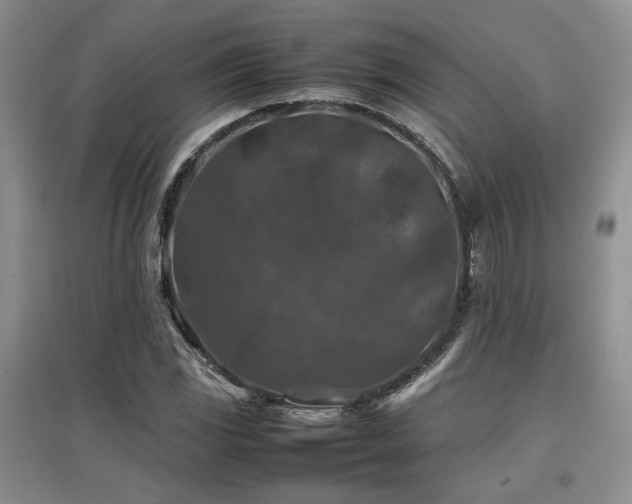 X0000097841117200803141202