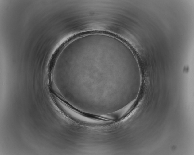 X0000097841118200803141202